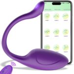 Remote Control Couple Vibrator,  Long Distance Wearable Panty G-spot Vibrator, Rechargerable Adult Sex Toys More Than 10 Vibrations for Women and Couple, Female Sex Toy for Women（Purple）
