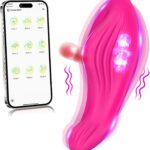 Female Sex Toys Vibrators for Women – Wearable Panty  Remote Control Vibrators with 9 Vibration Modes, Clitoral Couple Vibrator Vibrating Panties Adult Sex Toys for Women