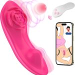 Adult Sex Toys for Women & Couples, Wearable Panty Vibrator  Sex Toy, 3-in-1  Remote Control Mini Butterfly Vibrator Clitoris G spot Vagina Stimulator with 10×2 Vibration Modes, Clit Novelties